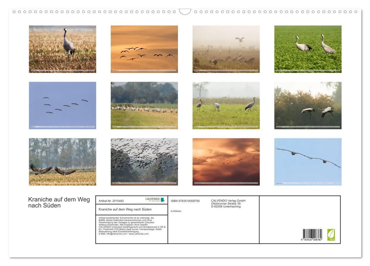Bild: 9783516008760 | Kraniche auf dem Weg nach Süden (Wandkalender 2026 DIN A2 quer),...