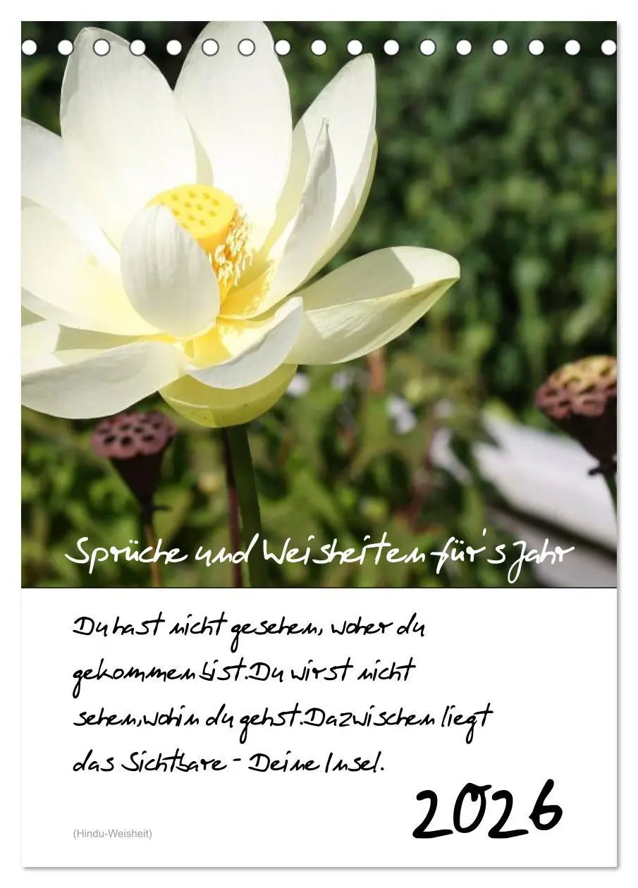 Cover: 9783516488760 | Sprüche und Weisheiten für´ s Jahr (Tischkalender 2026 DIN A5...