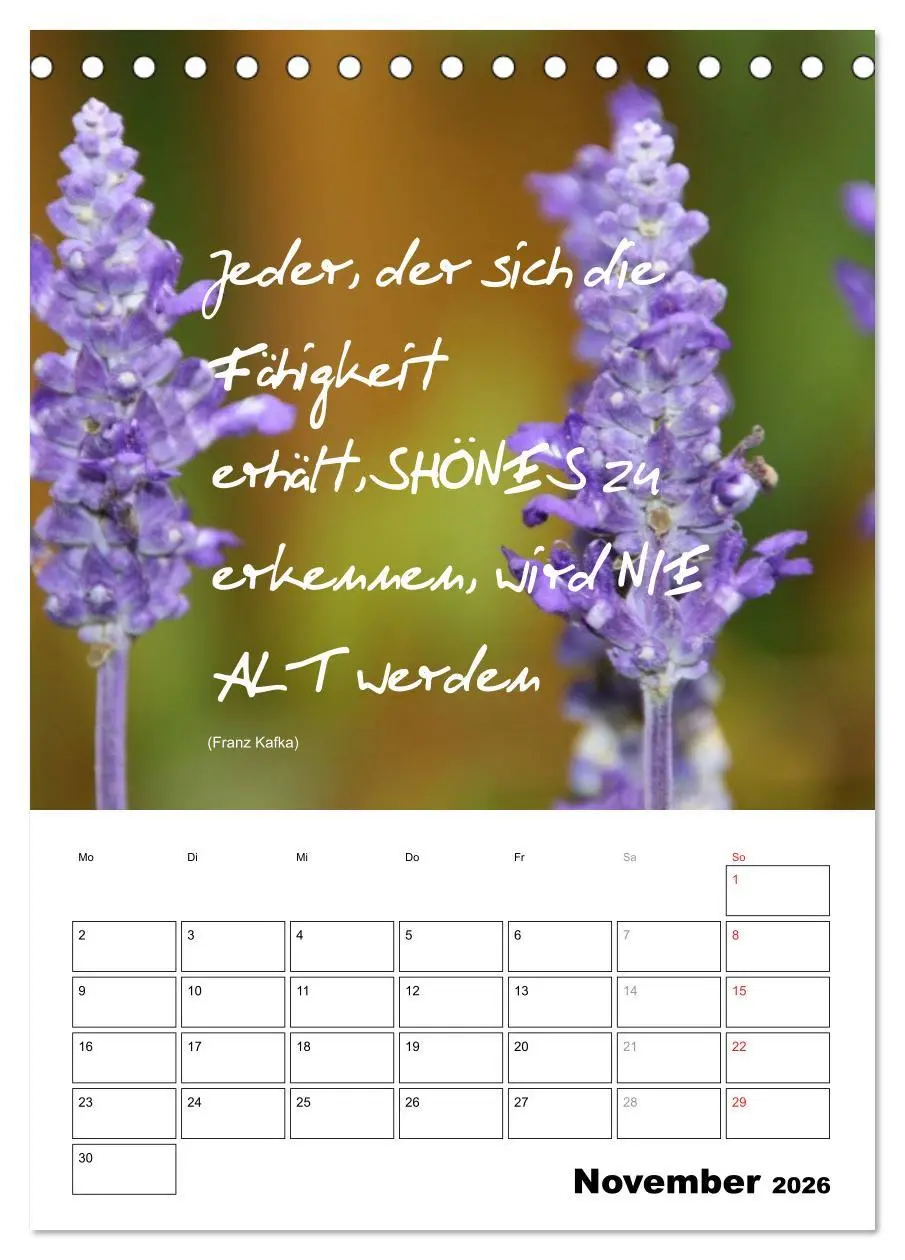 Bild: 9783516488760 | Sprüche und Weisheiten für´ s Jahr (Tischkalender 2026 DIN A5...