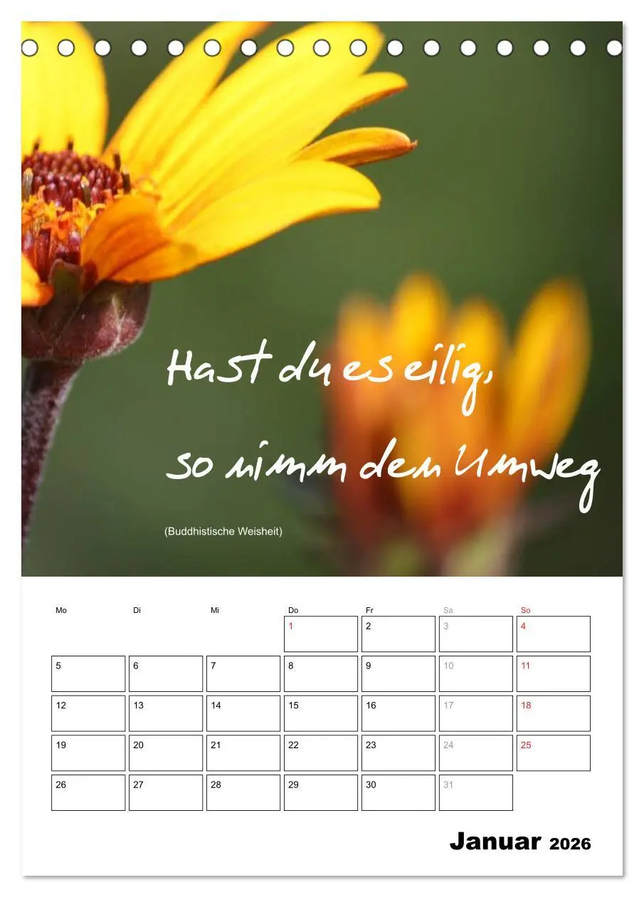 Bild: 9783516488760 | Sprüche und Weisheiten für´ s Jahr (Tischkalender 2026 DIN A5...