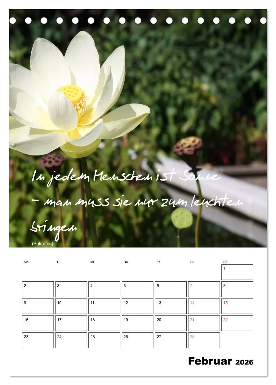 Bild: 9783516488760 | Sprüche und Weisheiten für´ s Jahr (Tischkalender 2026 DIN A5...