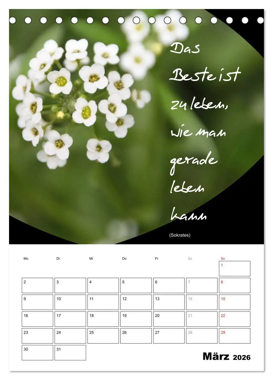 Bild: 9783516488760 | Sprüche und Weisheiten für´ s Jahr (Tischkalender 2026 DIN A5...