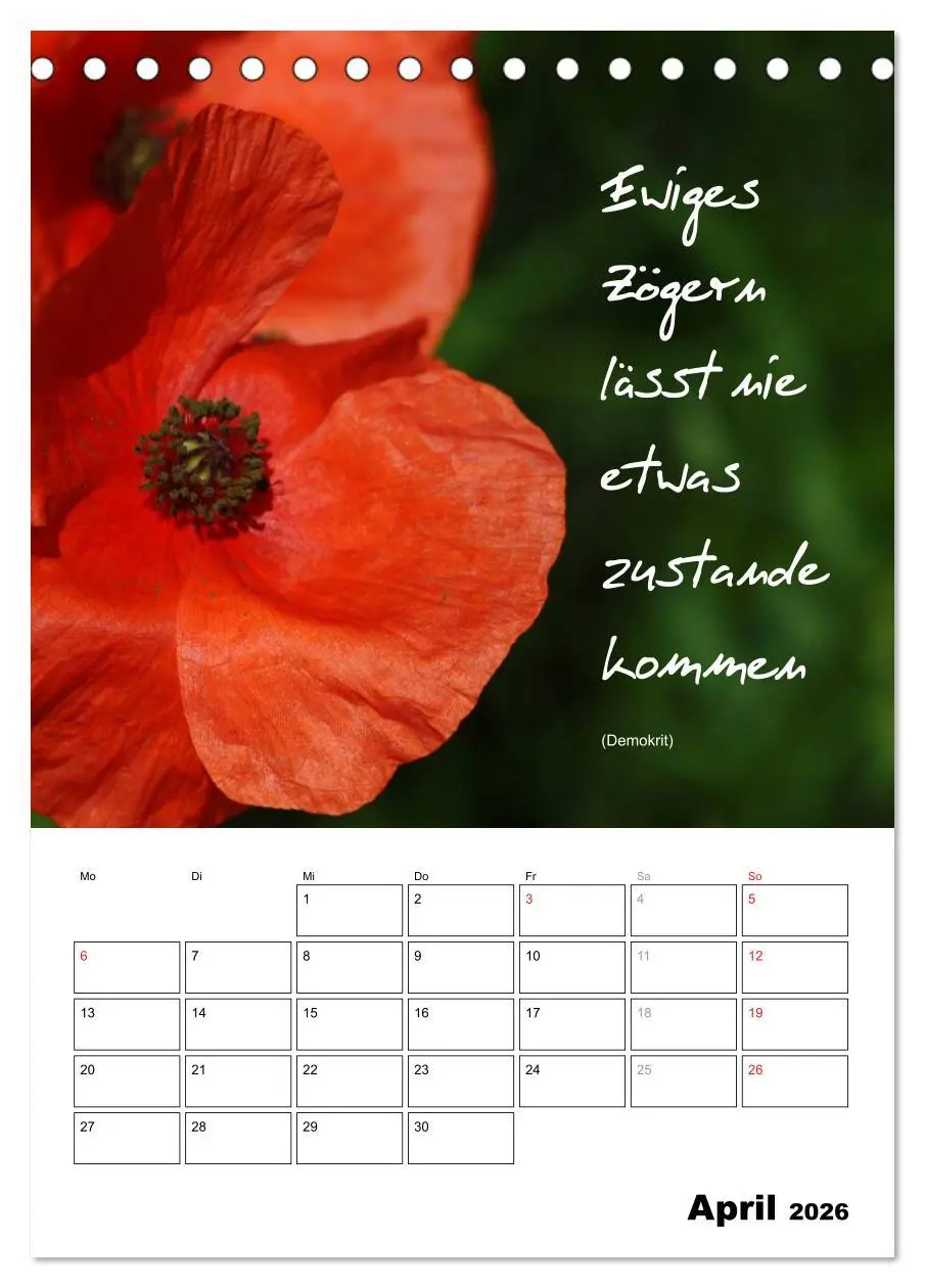 Bild: 9783516488760 | Sprüche und Weisheiten für´ s Jahr (Tischkalender 2026 DIN A5...