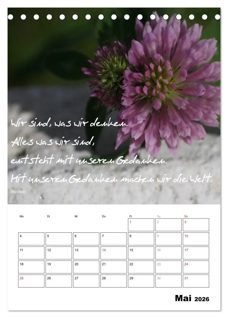Bild: 9783516488760 | Sprüche und Weisheiten für´ s Jahr (Tischkalender 2026 DIN A5...