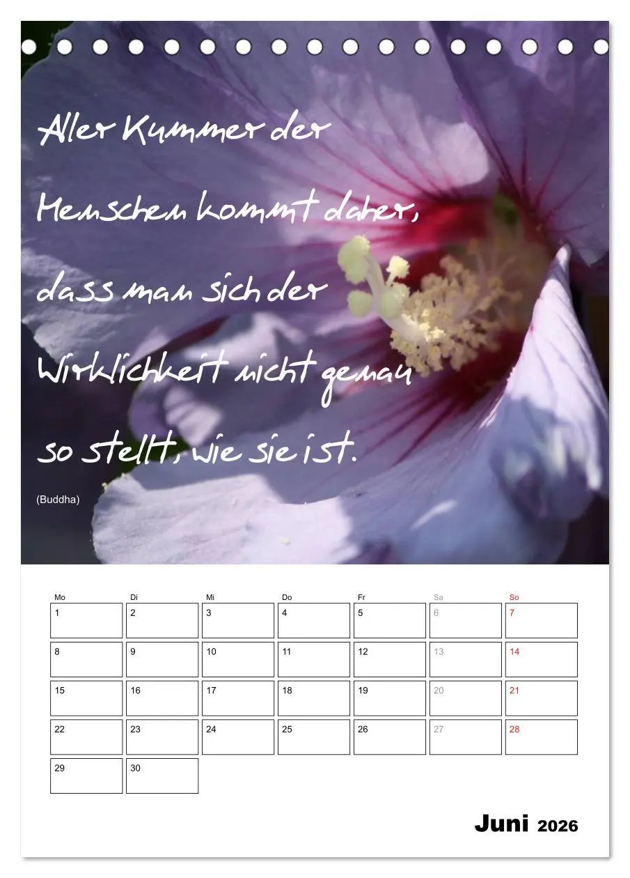 Bild: 9783516488760 | Sprüche und Weisheiten für´ s Jahr (Tischkalender 2026 DIN A5...
