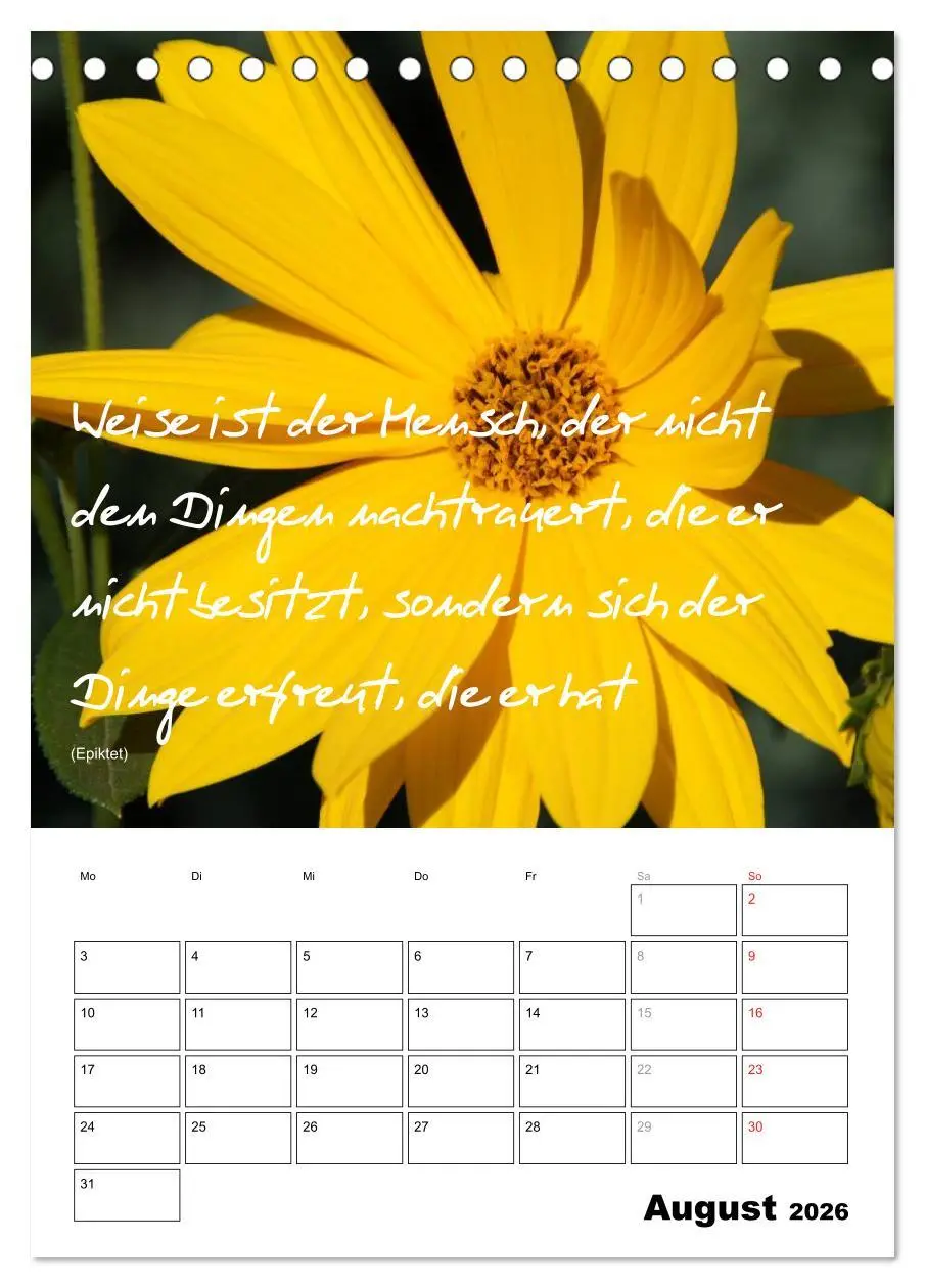 Bild: 9783516488760 | Sprüche und Weisheiten für´ s Jahr (Tischkalender 2026 DIN A5...