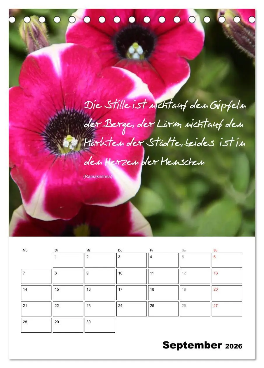 Bild: 9783516488760 | Sprüche und Weisheiten für´ s Jahr (Tischkalender 2026 DIN A5...