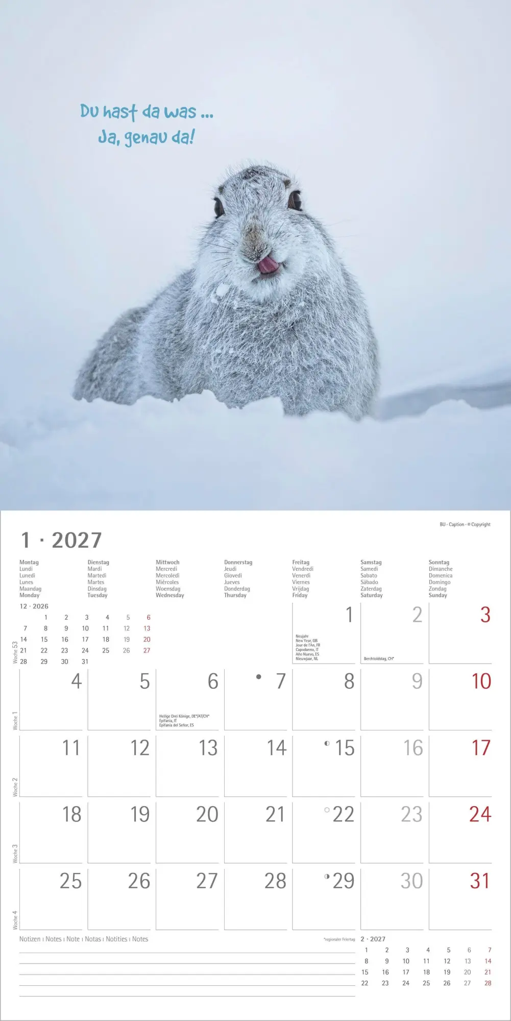 Bild: 4069095018860 | Funny Animals 2027 | Neumann Verlage GmbH &amp; Co KG | Kalender | 14 S.