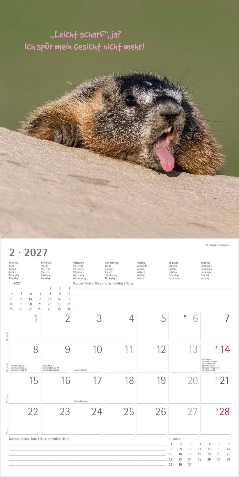 Bild: 4069095018860 | Funny Animals 2027 | Neumann Verlage GmbH &amp; Co KG | Kalender | 14 S.