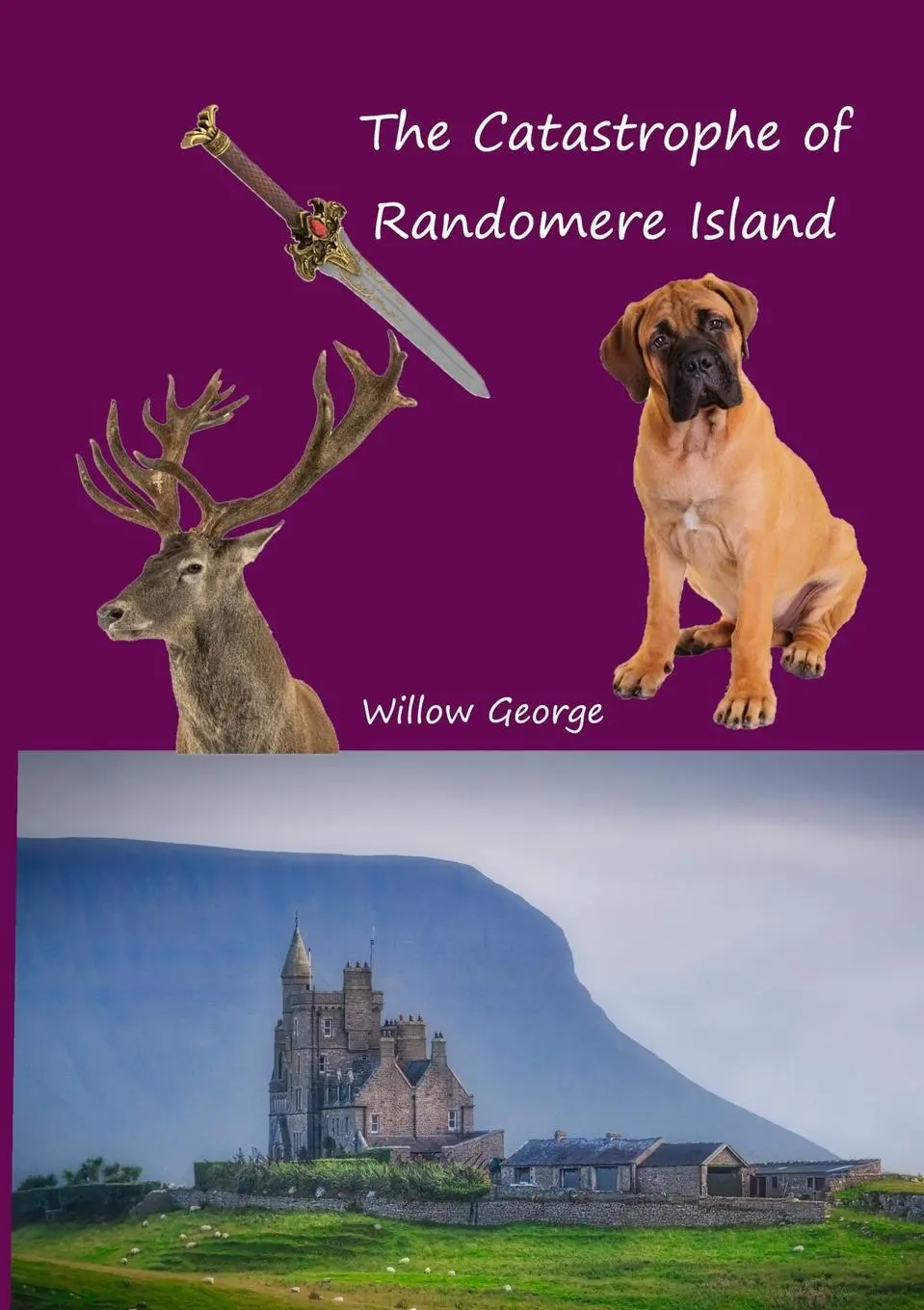 Cover: 9781471038860 | The Catastrophe of Randomere Island | Willow George | Taschenbuch