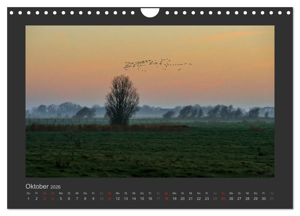 Bild: 9783516098860 | Impressionen aus St. Peter-Ording (Wandkalender 2026 DIN A4 quer),...
