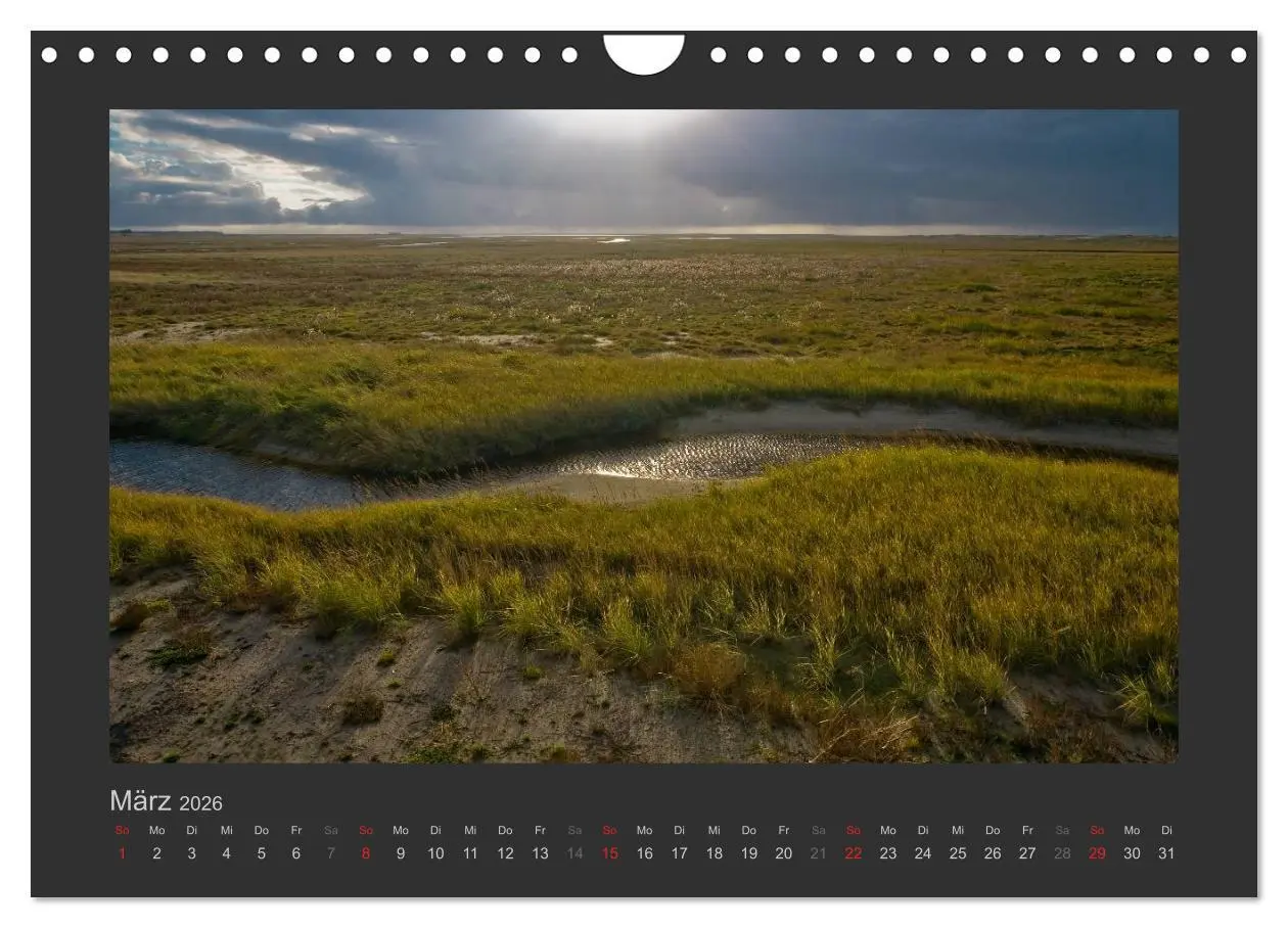 Bild: 9783516098860 | Impressionen aus St. Peter-Ording (Wandkalender 2026 DIN A4 quer),...
