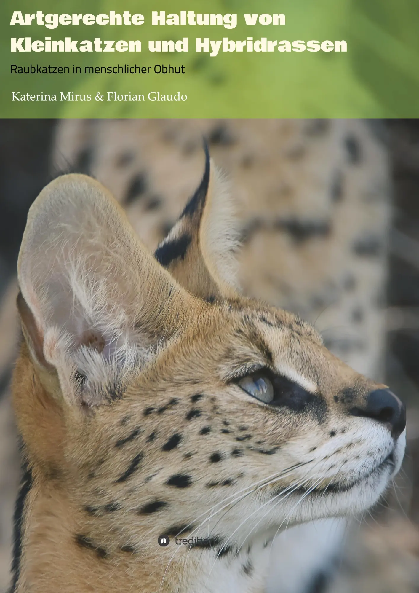 Cover: 9783749748860 | Artgerechte Haltung von Kleinkatzen und Hybridrassen | Glaudo (u. a.)