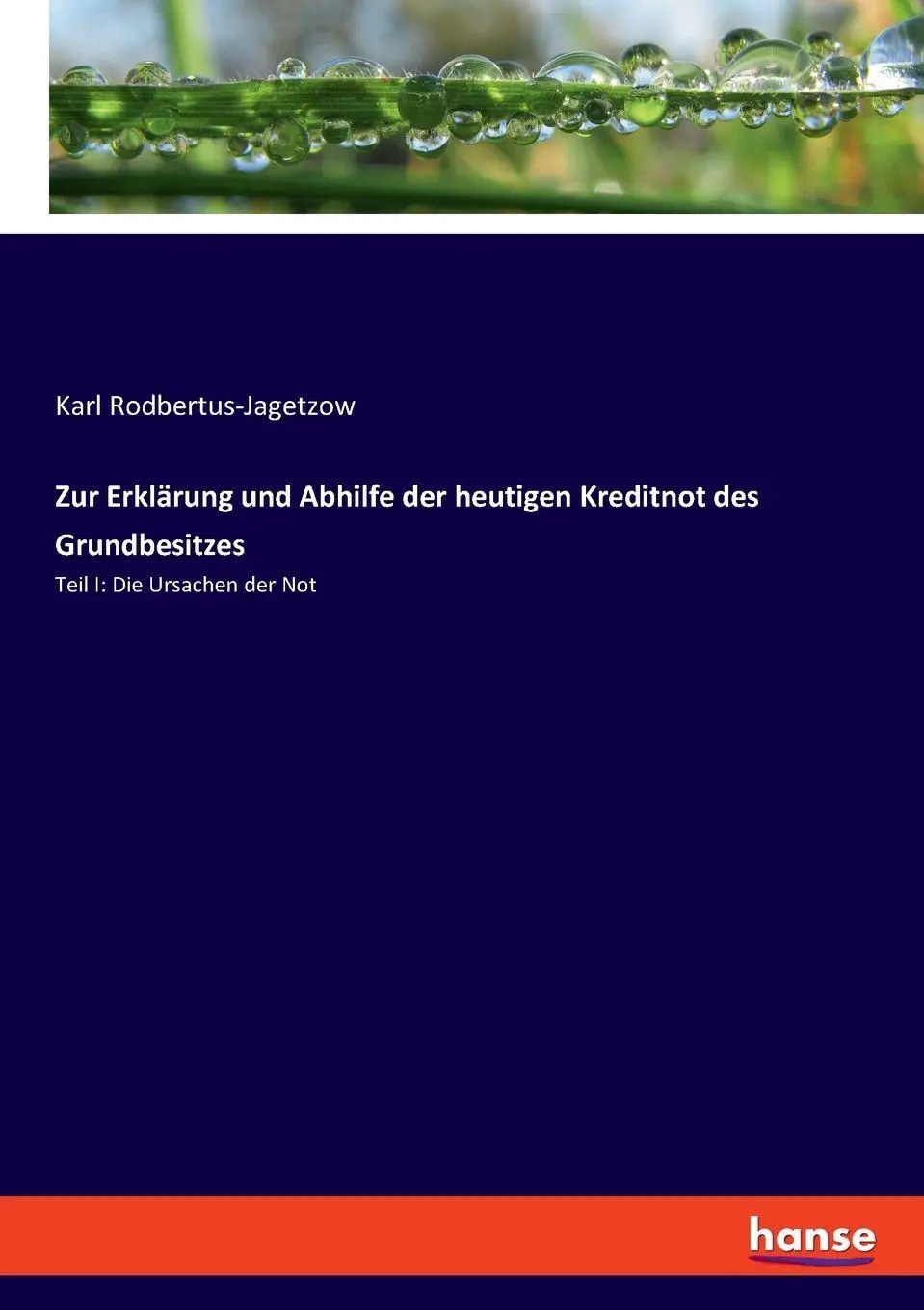 Zur Erklärung und Abhilfe der heutigen Kreditnot des Grundbesitzes - Karl Rodbertus-Jagetzow Kartoniert (TB)