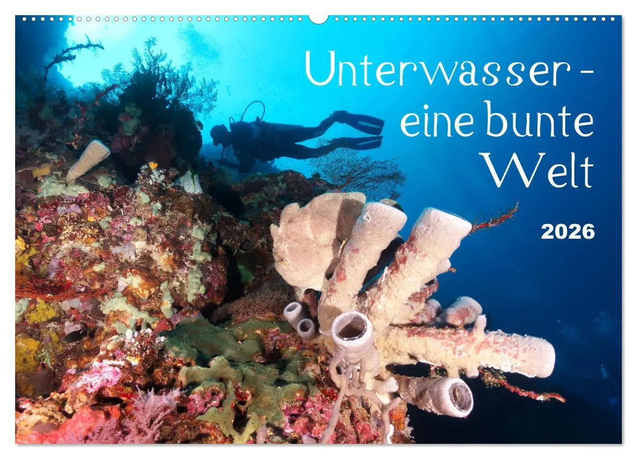 Cover: 9783457688960 | Unterwasser - eine bunte Welt (Wandkalender 2026 DIN A2 quer),...
