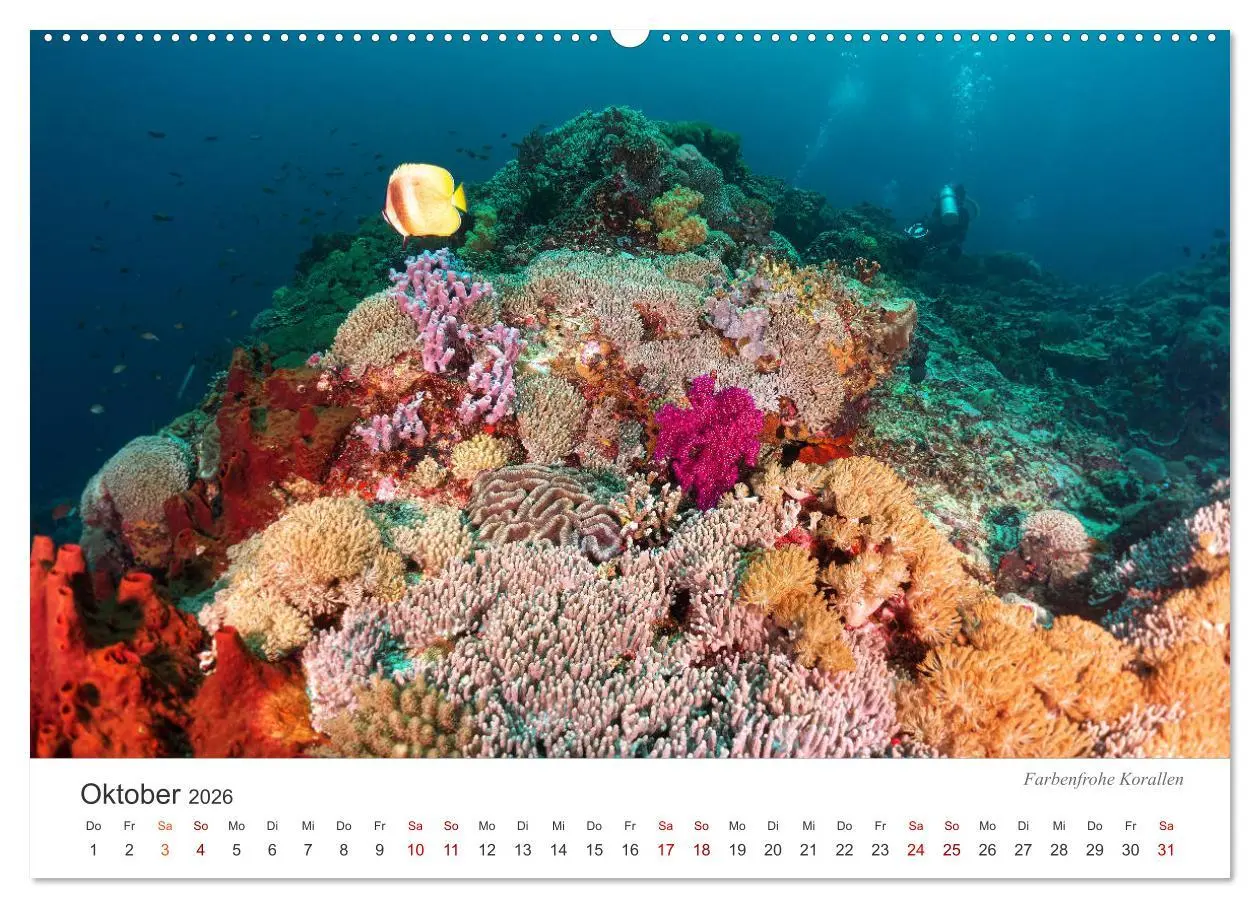 Bild: 9783457688960 | Unterwasser - eine bunte Welt (Wandkalender 2026 DIN A2 quer),...