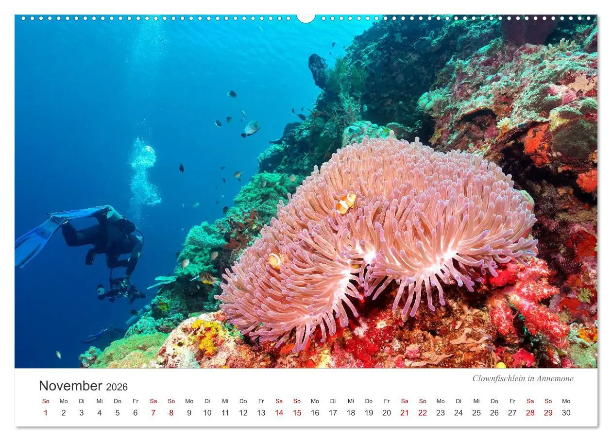 Bild: 9783457688960 | Unterwasser - eine bunte Welt (Wandkalender 2026 DIN A2 quer),...