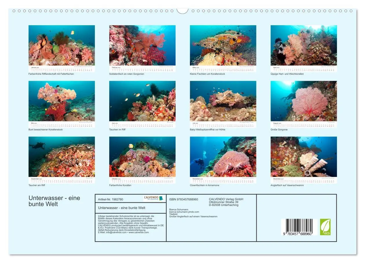 Bild: 9783457688960 | Unterwasser - eine bunte Welt (Wandkalender 2026 DIN A2 quer),...