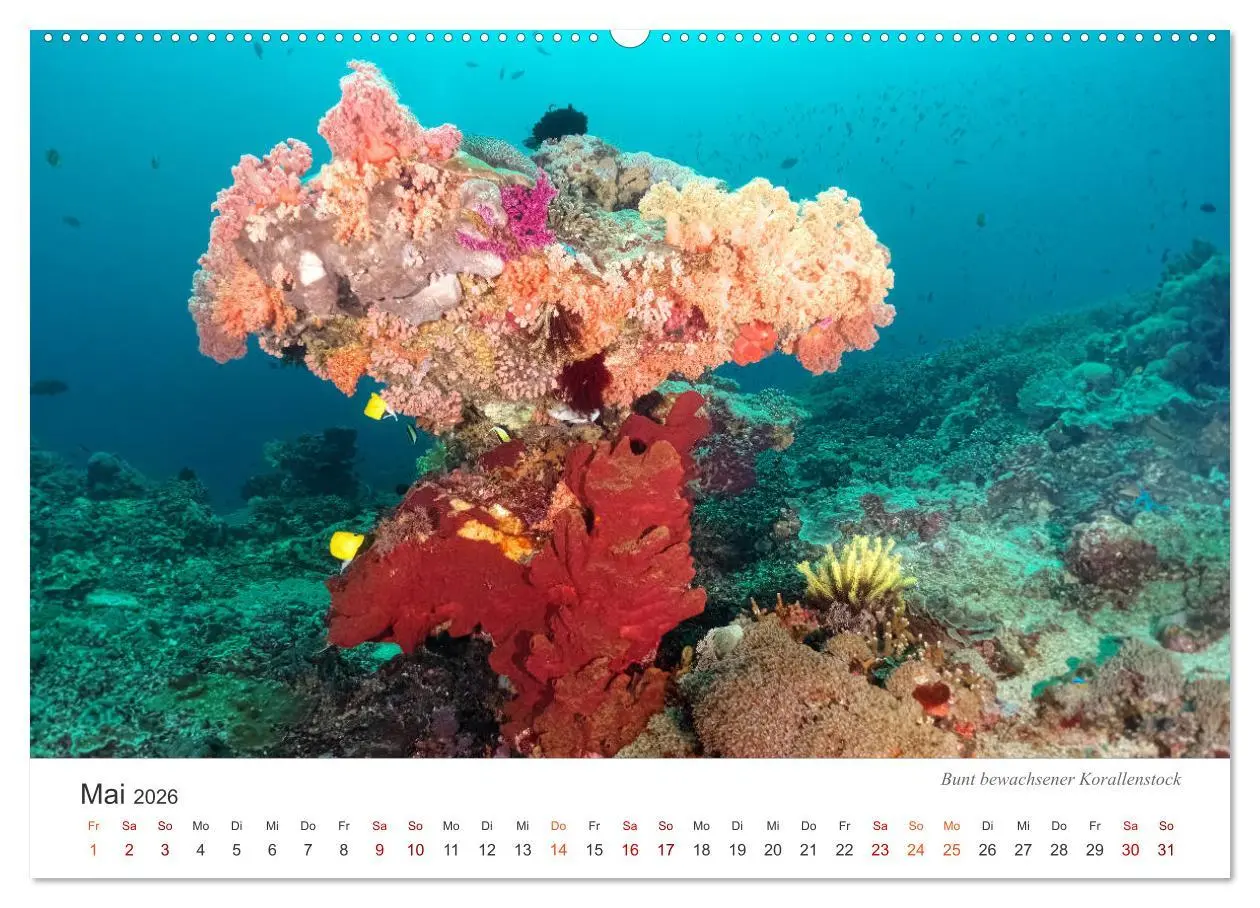 Bild: 9783457688960 | Unterwasser - eine bunte Welt (Wandkalender 2026 DIN A2 quer),...