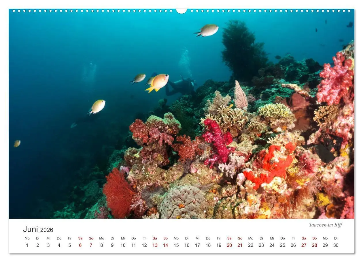 Bild: 9783457688960 | Unterwasser - eine bunte Welt (Wandkalender 2026 DIN A2 quer),...