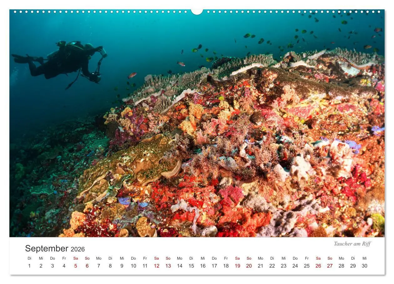 Bild: 9783457688960 | Unterwasser - eine bunte Welt (Wandkalender 2026 DIN A2 quer),...