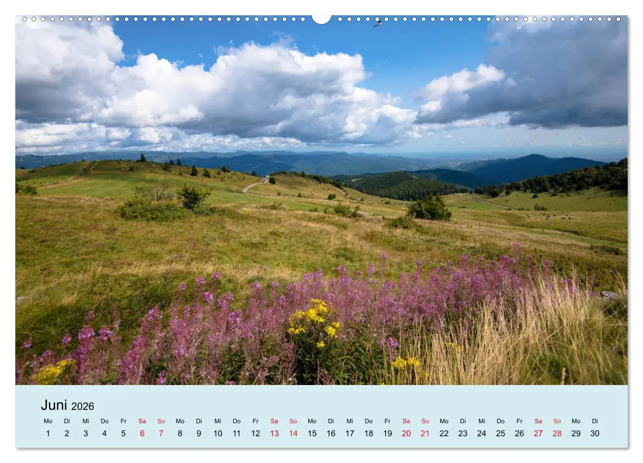 Bild: 9783457719060 | Elsass- und Vogesenträume (hochwertiger Premium Wandkalender 2026...