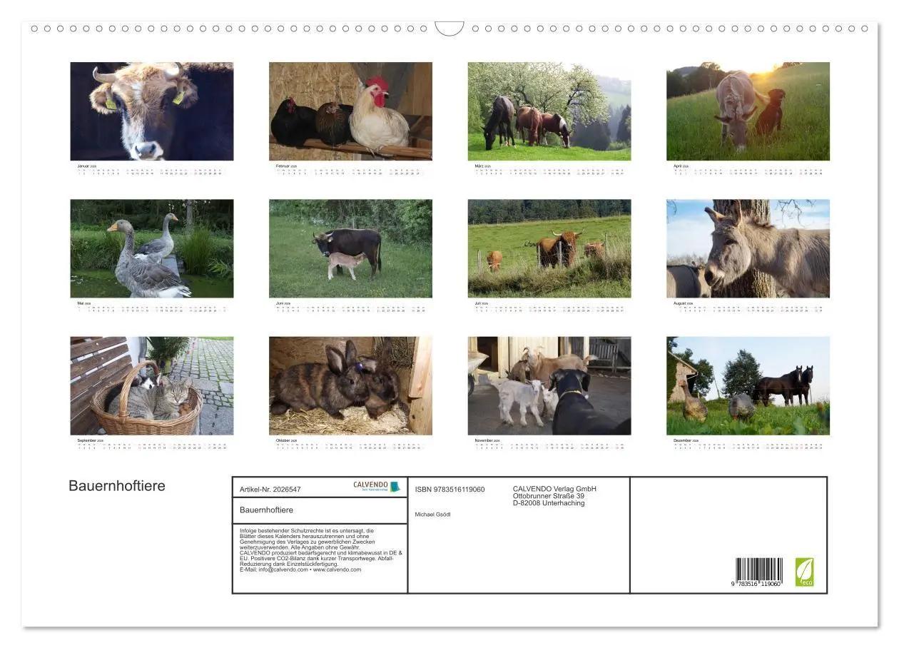 Bild: 9783516119060 | Bauernhoftiere (Wandkalender 2026 DIN A2 quer), CALVENDO...