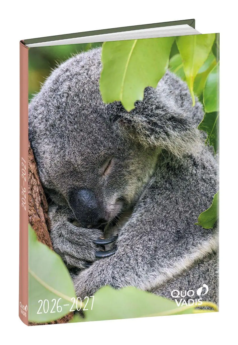 Cover: 3371010549160 | Schülerkalender Forum Tiere Koala 2026 / 2027 | Schülerkalender | Buch