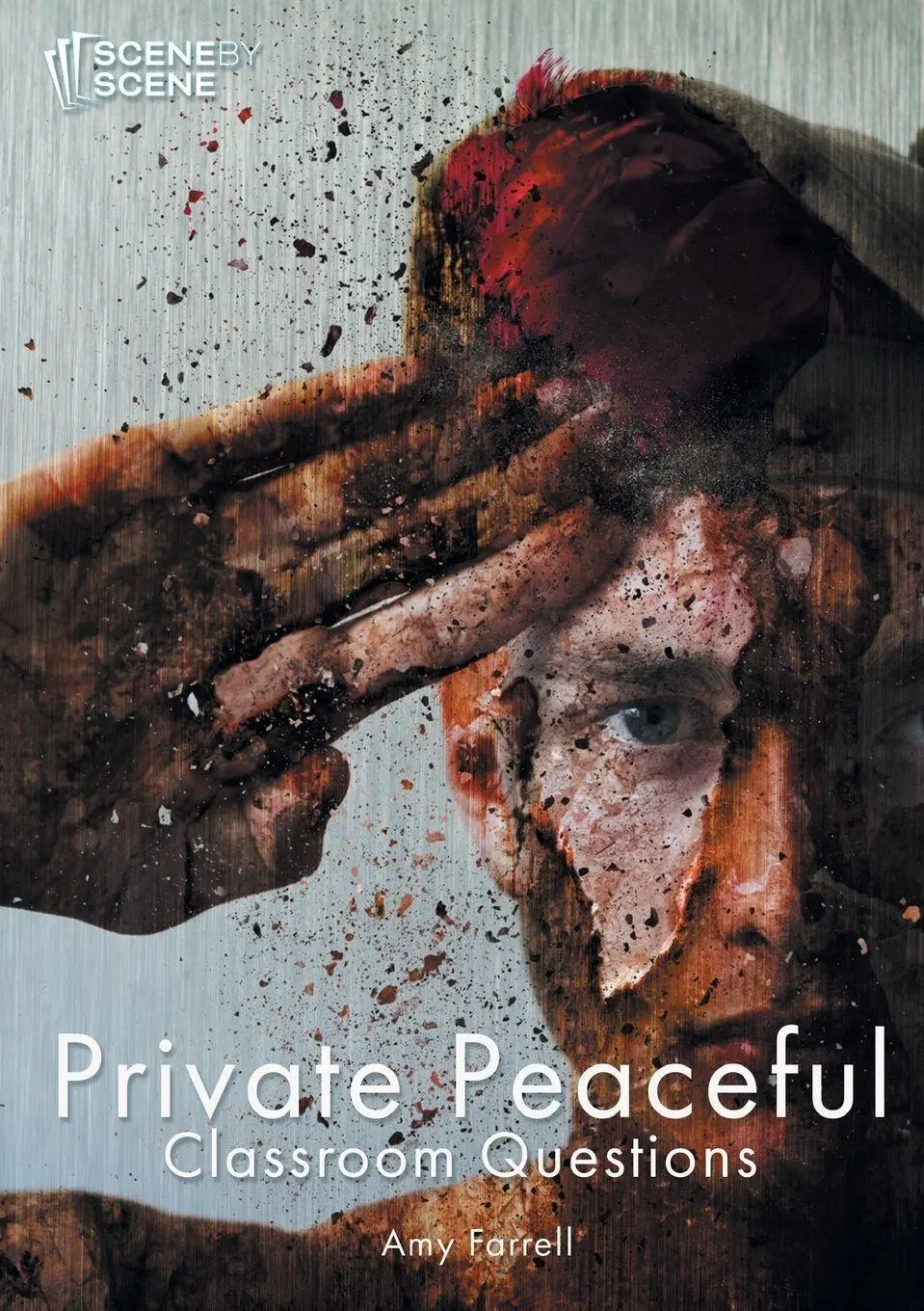 Cover: 9781910949160 | Private Peaceful Classroom Questions | Amy Farrell | Taschenbuch