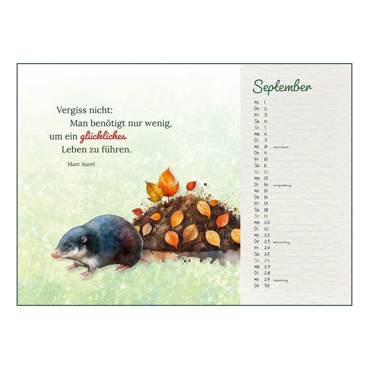 Bild: 9783746269160 | Tiere in der heimischen Natur 2027 | Kalender | Spiralbindung | 12 S.