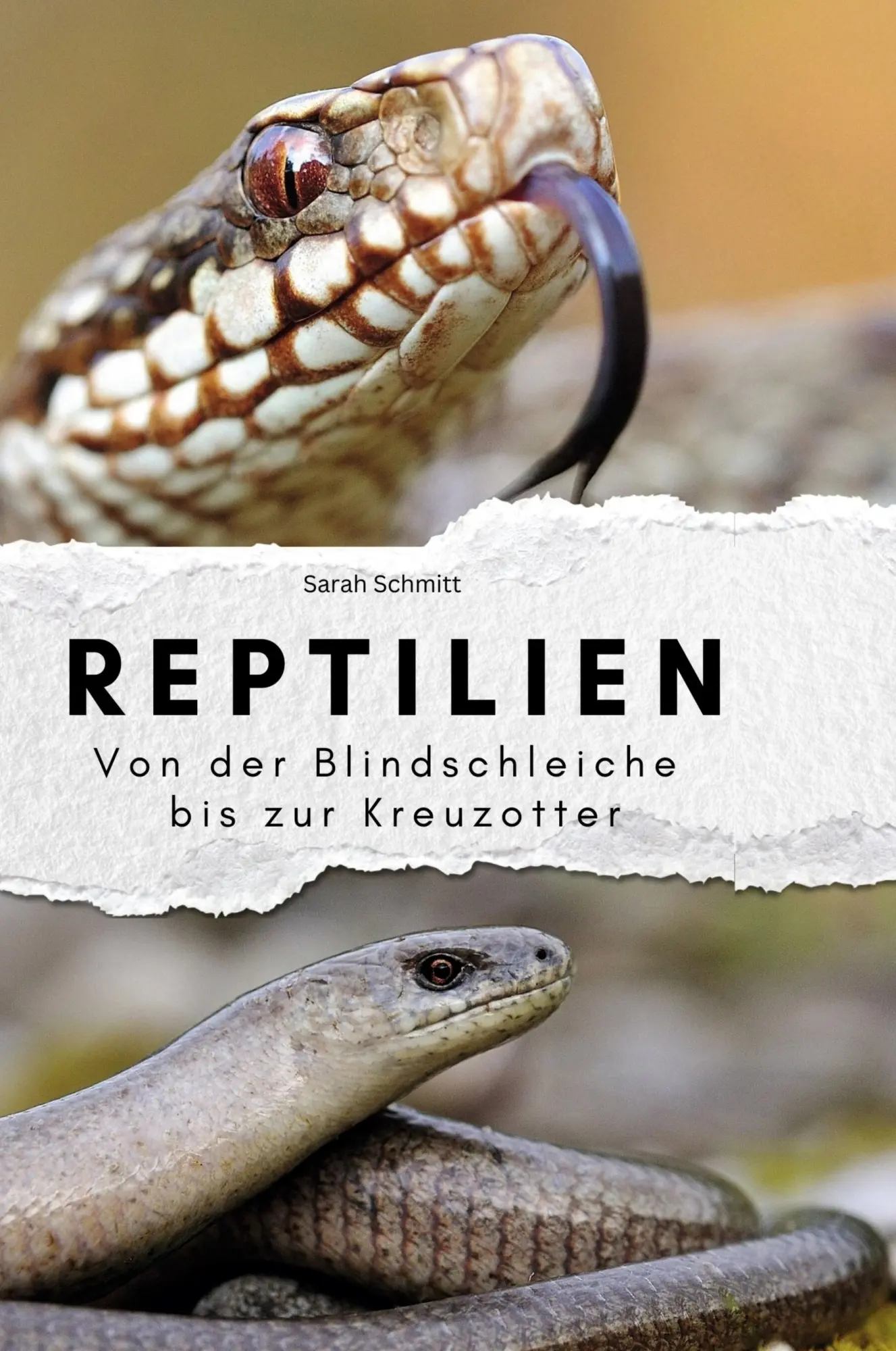 Cover: 9783759139160 | Reptilien | Von der Blindschleiche bis zur Kreuzotter | Sarah Schmitt