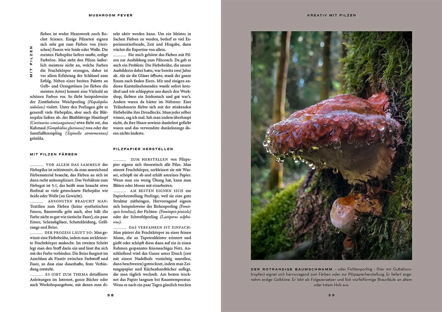 Bild: 9783440179260 | Mushroom Fever | Moritz Schmid | Taschenbuch | 208 S. | Deutsch | 2024