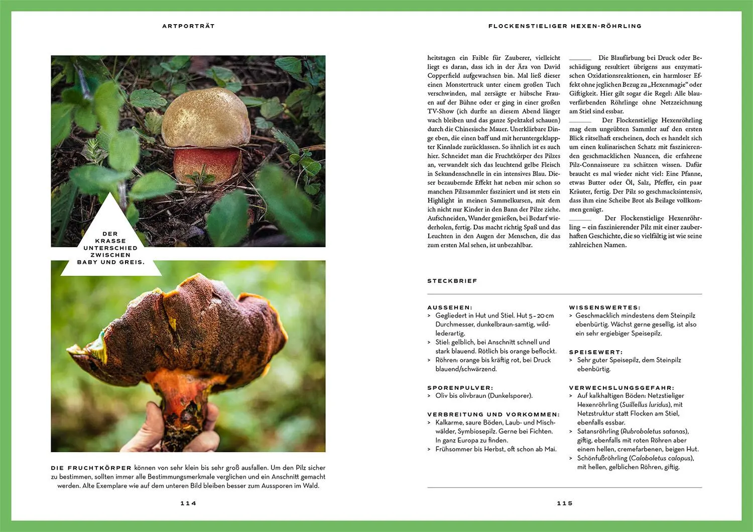Bild: 9783440179260 | Mushroom Fever | Moritz Schmid | Taschenbuch | 208 S. | Deutsch | 2024