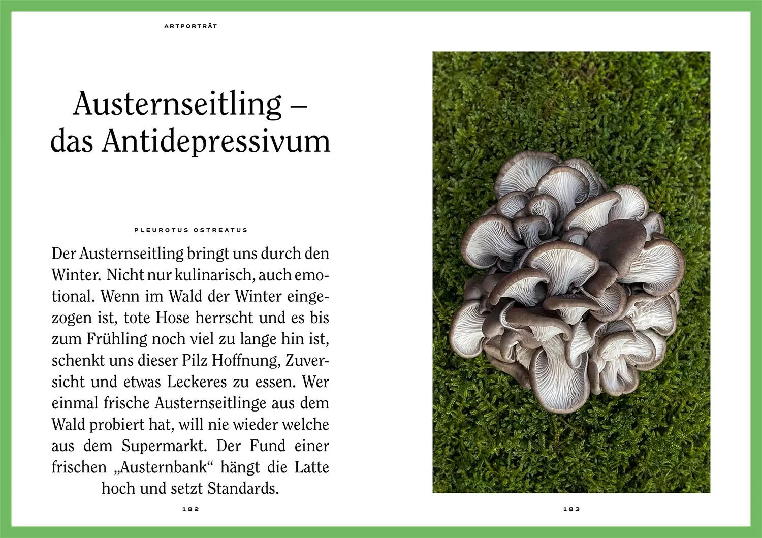 Bild: 9783440179260 | Mushroom Fever | Moritz Schmid | Taschenbuch | 208 S. | Deutsch | 2024