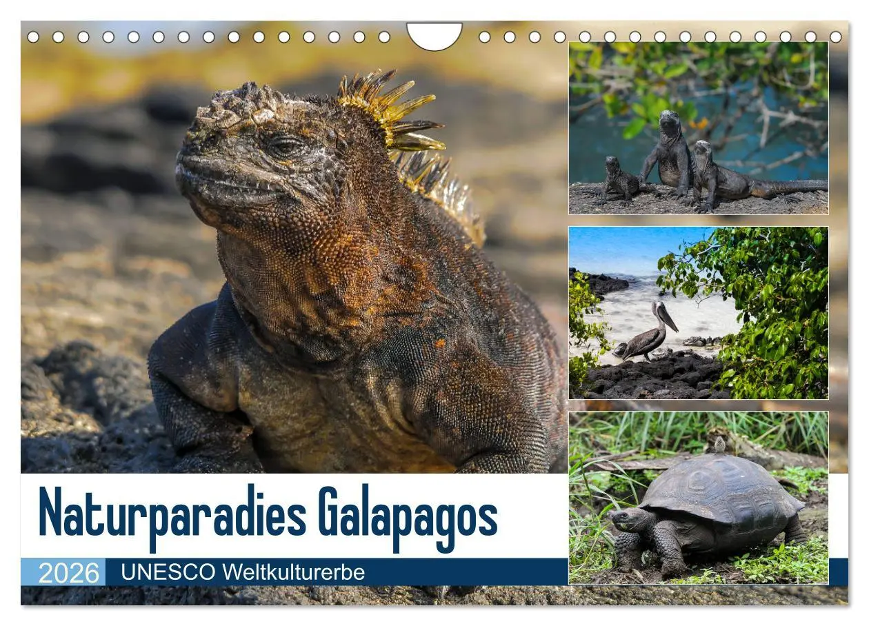 Cover: 9783457869260 | Naturparadies Galapagos - UNESCO Weltkulturerbe (Wandkalender 2026...