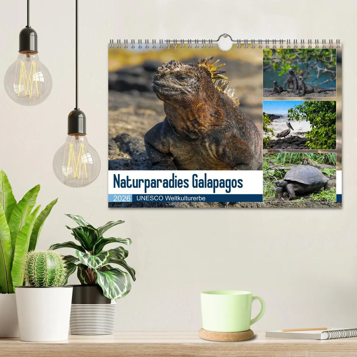 Bild: 9783457869260 | Naturparadies Galapagos - UNESCO Weltkulturerbe (Wandkalender 2026...