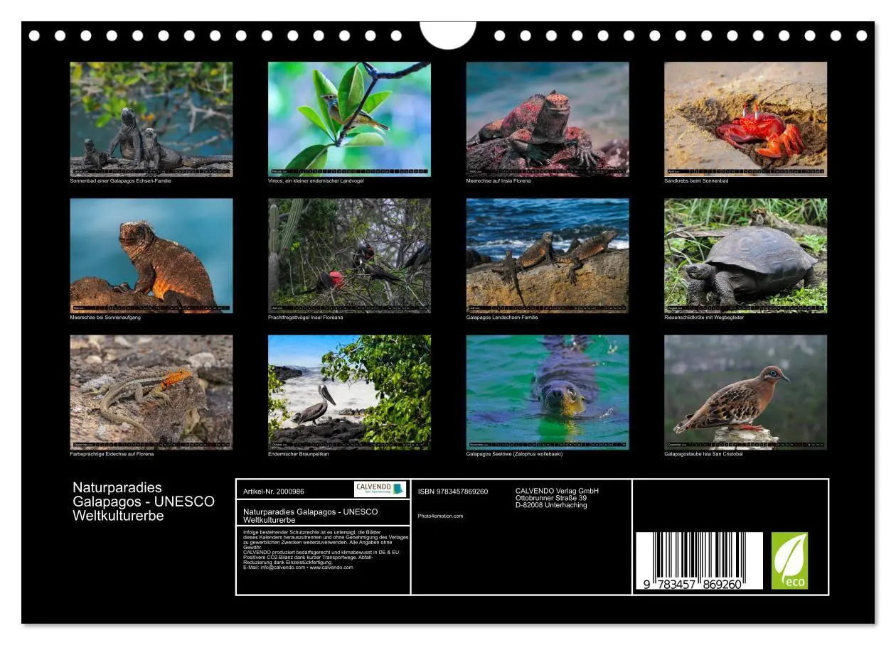Bild: 9783457869260 | Naturparadies Galapagos - UNESCO Weltkulturerbe (Wandkalender 2026...