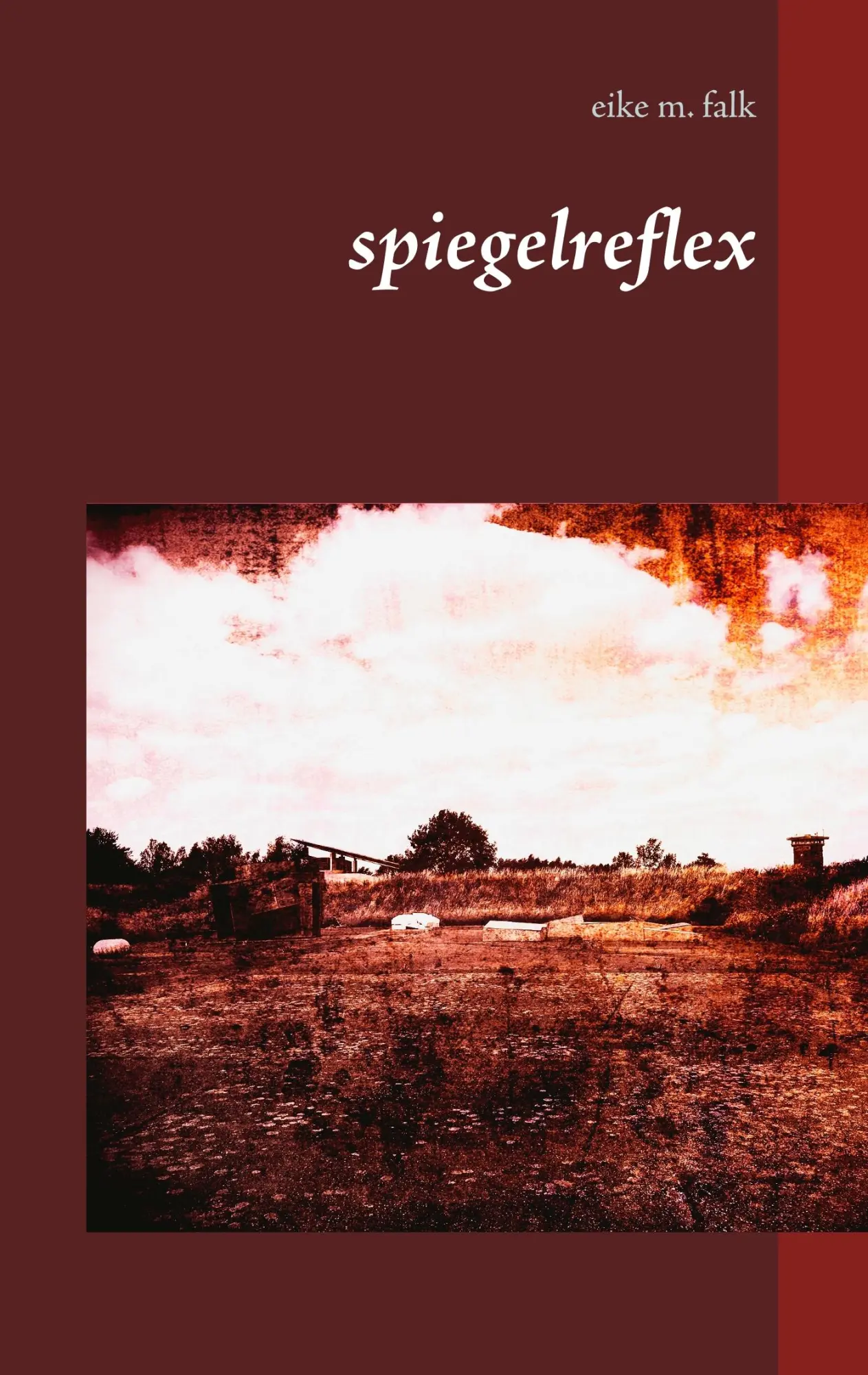 Cover: 9783748159360 | spiegelreflex | Eike M. Falk | Taschenbuch | 280 S. | Deutsch | 2019