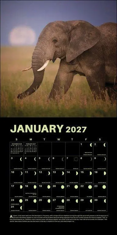 Bild: 9780789349460 | Lunar - Mond 2027 - Wandkalender | Universe Publishing | Kalender