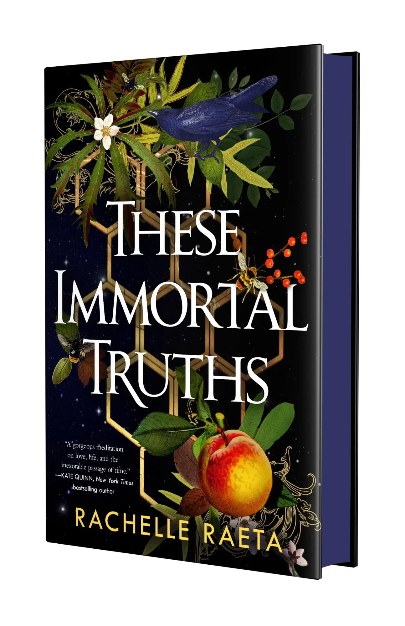 Cover: 9781250419460 | These Immortal Truths | Rachelle Raeta | Buch | Englisch | 2026
