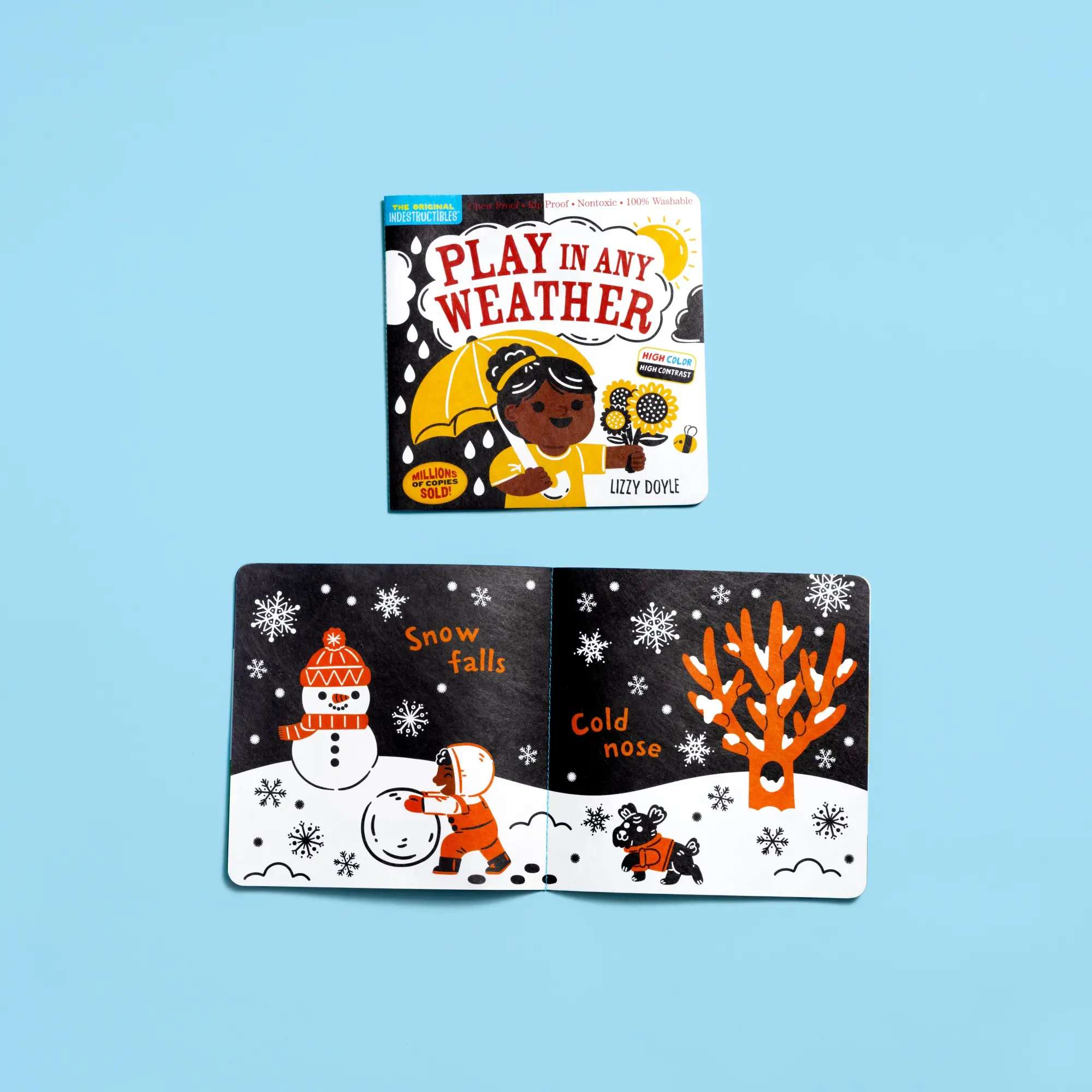 Bild: 9781523519460 | Indestructibles: Play in Any Weather (High Color High Contrast) | Buch