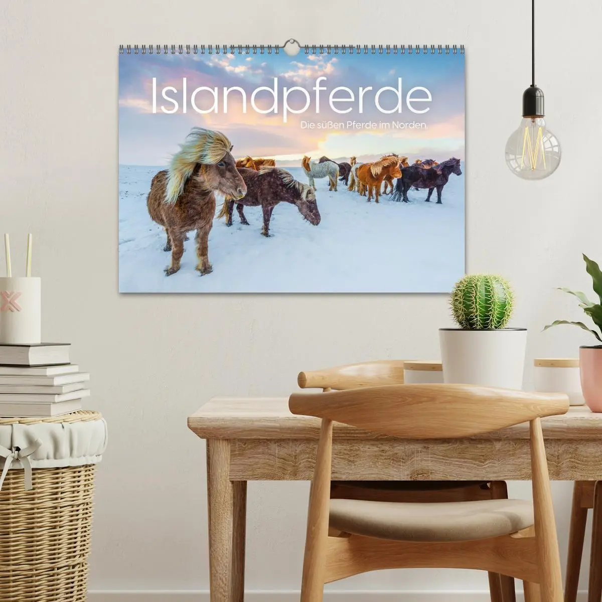 Bild: 9783457539460 | Islandpferde - Die süßen Pferde im Norden. (Wandkalender 2026 DIN...