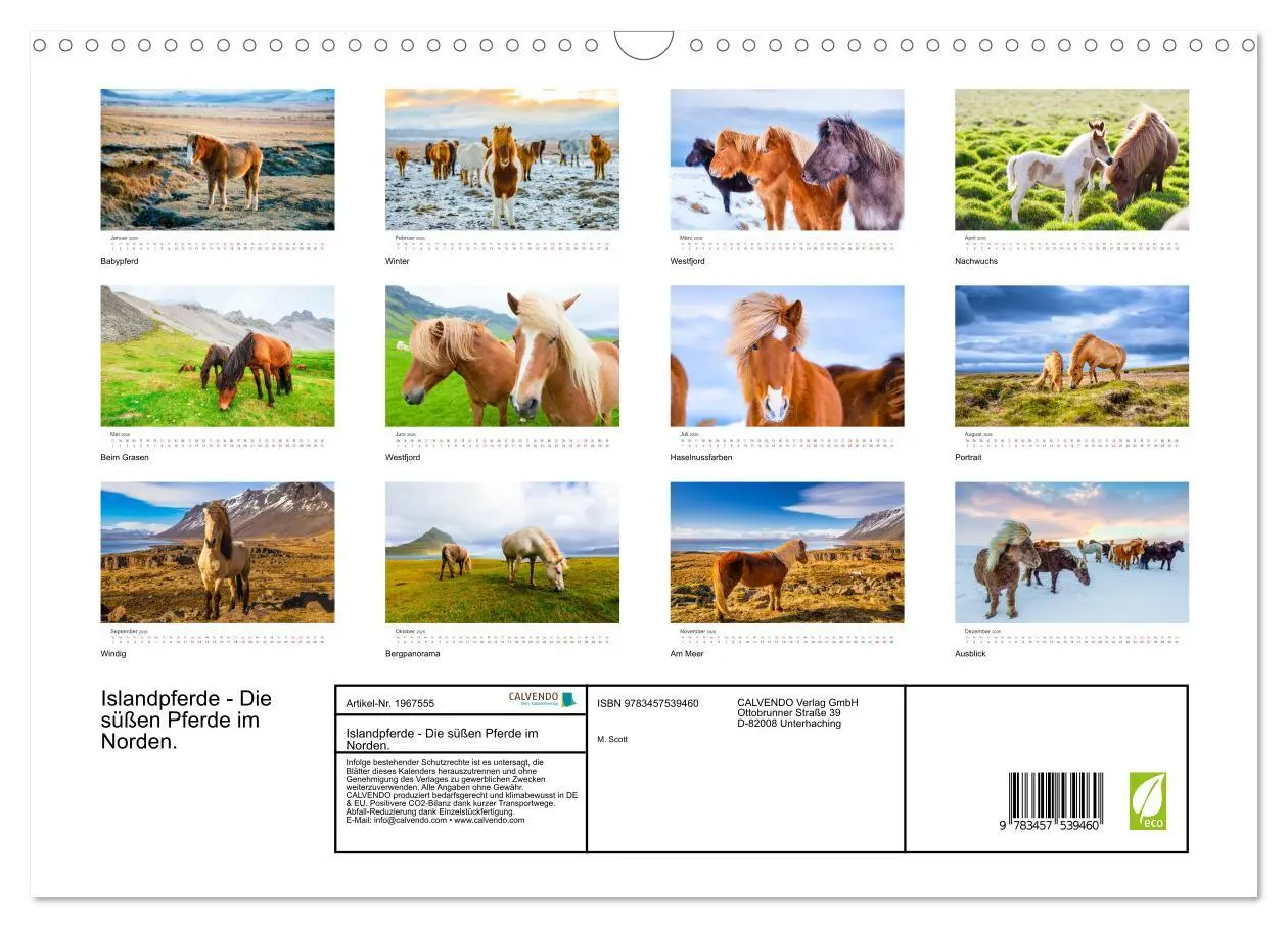Bild: 9783457539460 | Islandpferde - Die süßen Pferde im Norden. (Wandkalender 2026 DIN...