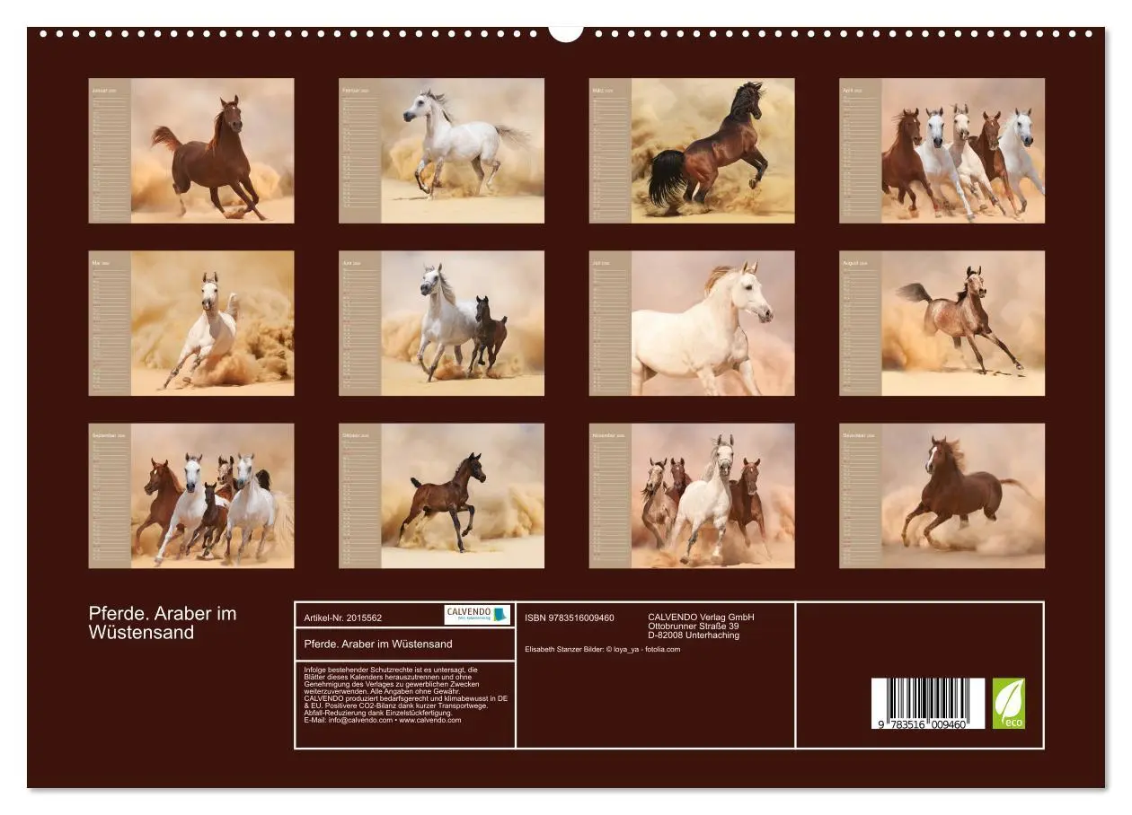 Bild: 9783516009460 | Pferde. Araber im Wüstensand (hochwertiger Premium Wandkalender...