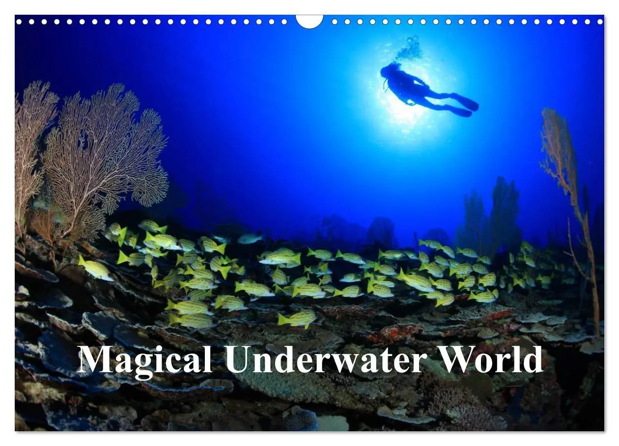 Cover: 9783516559460 | Magical Underwater World (Wall Calendar 2026 DIN A3 landscape),...