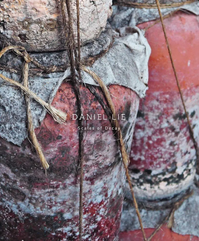 Cover: 9783862069460 | Daniel Lie | Scales of Decay | Daniela Leykam | Taschenbuch | 64 S.