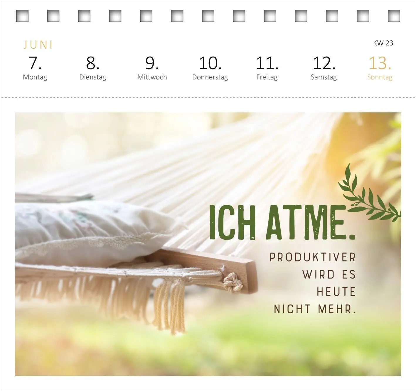 Bild: 4014489139560 | Postkartenkalender Meine Schokoladenseite hab ich aufgegessen. 2027