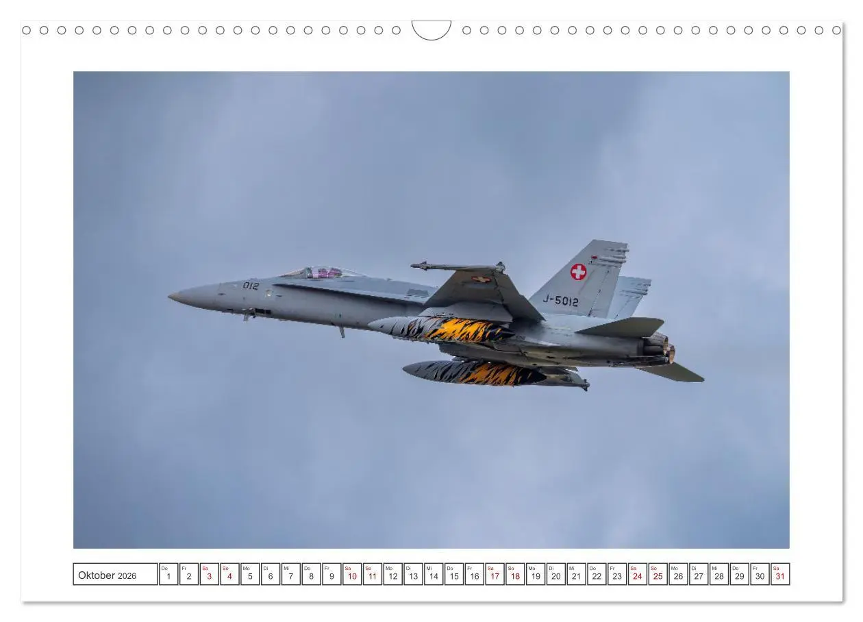 Bild: 9783457389560 | Tiger Meet Schleswig (Wandkalender 2026 DIN A3 quer), CALVENDO...