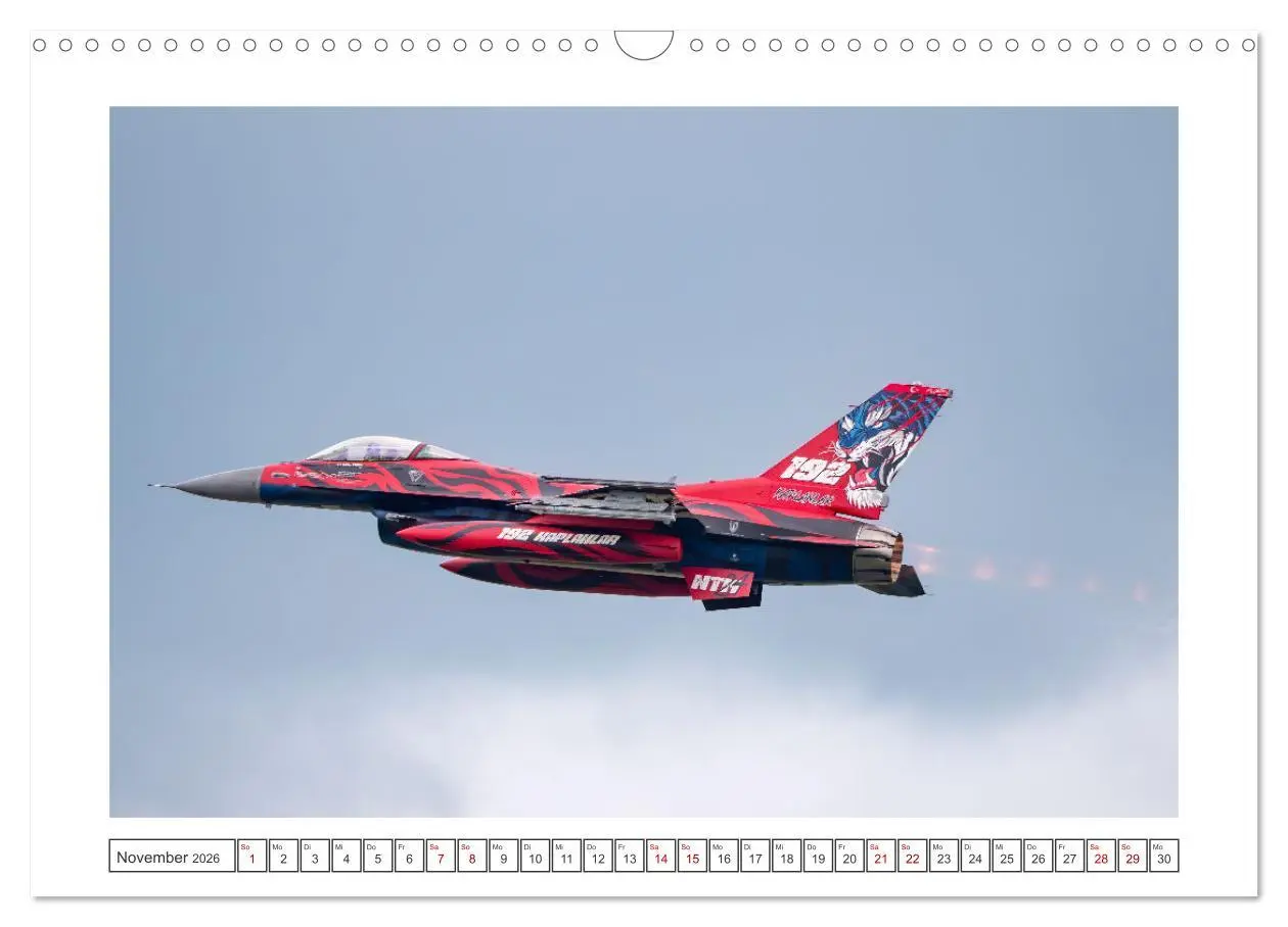 Bild: 9783457389560 | Tiger Meet Schleswig (Wandkalender 2026 DIN A3 quer), CALVENDO...