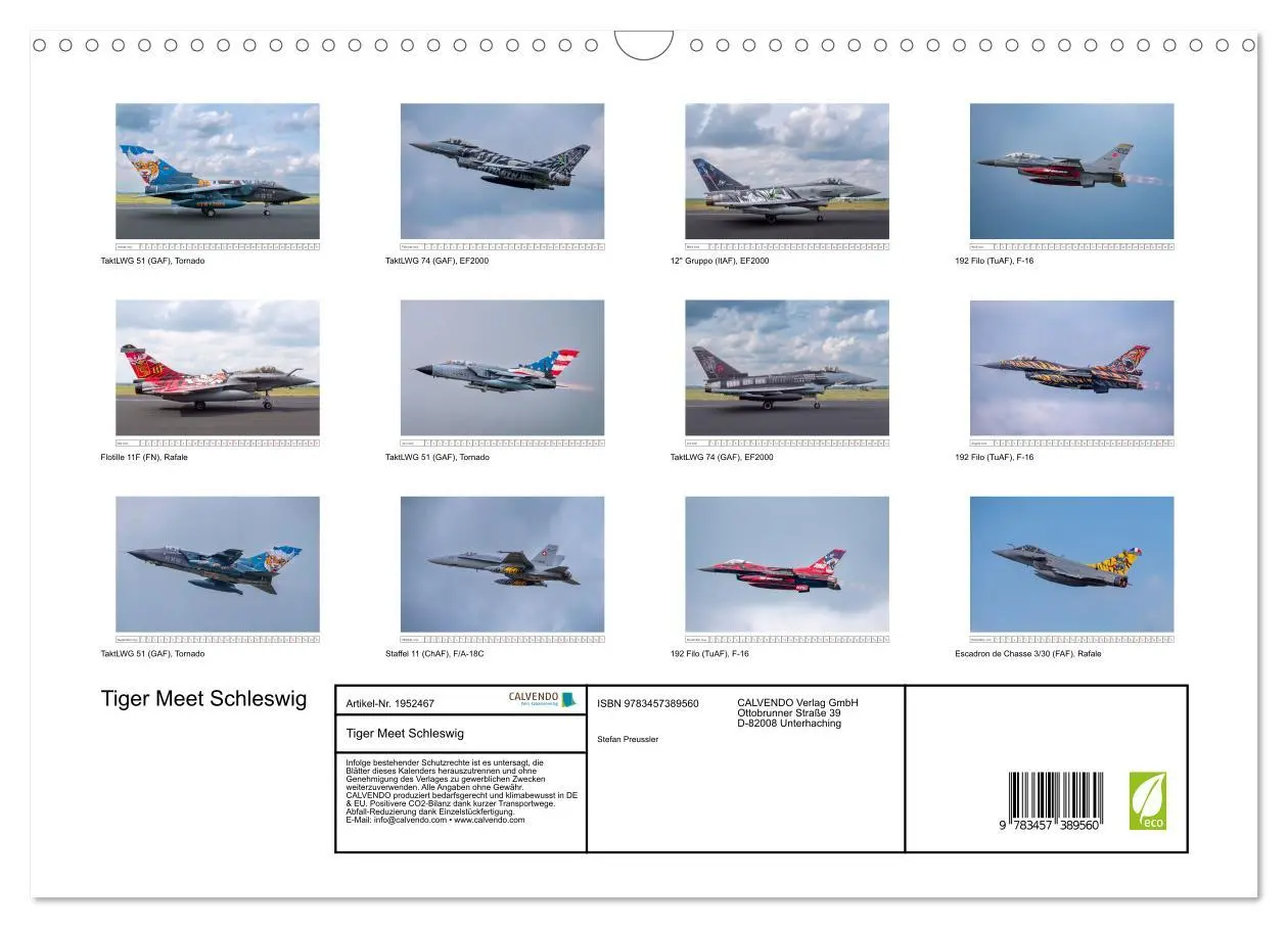 Bild: 9783457389560 | Tiger Meet Schleswig (Wandkalender 2026 DIN A3 quer), CALVENDO...